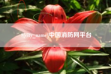 百色中国消防网平台