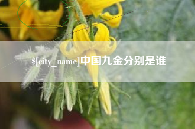 百色中国九金分别是谁
