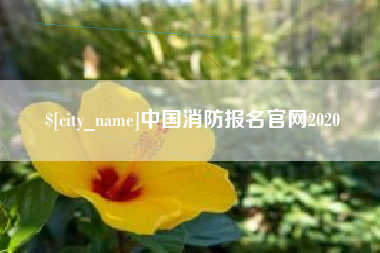 百色中国消防报名官网2020