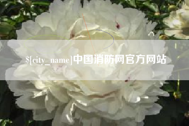 百色中国消防网官方网站