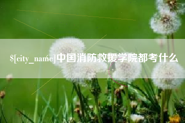 百色中国消防救援学院都考什么