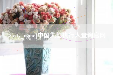 百色中国失信执行人查询官网