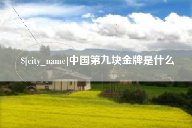百色中国第九块金牌是什么