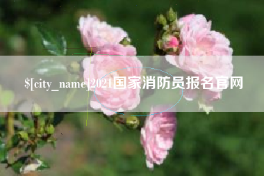 百色2021国家消防员报名官网