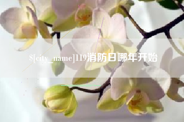 百色119消防日哪年开始