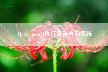 百色执行公告查询系统