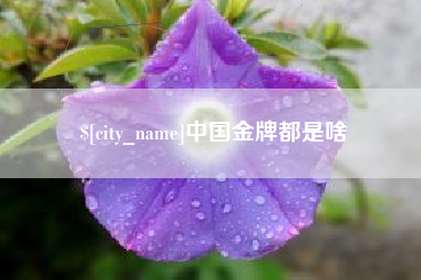 百色中国金牌都是啥