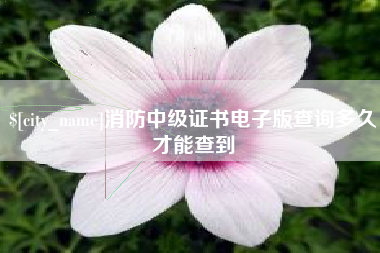 百色消防中级证书电子版查询多久才能查到