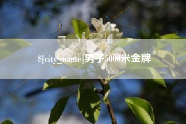 百色男子5000米金牌