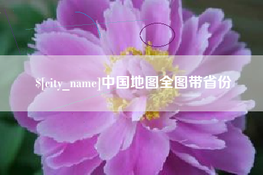 百色中国地图全图带省份