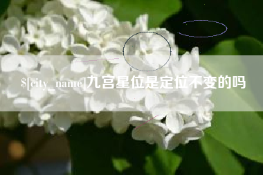 百色九宫星位是定位不变的吗