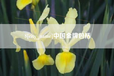 百色中国金牌包括