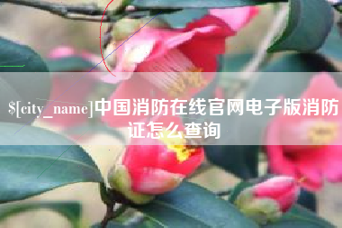 百色中国消防在线官网电子版消防证怎么查询