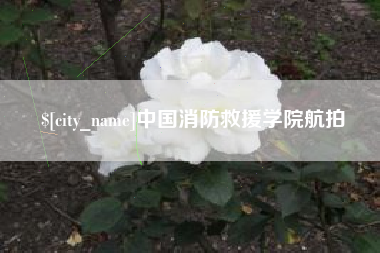 百色中国消防救援学院航拍