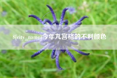百色今年九宫格的不利颜色