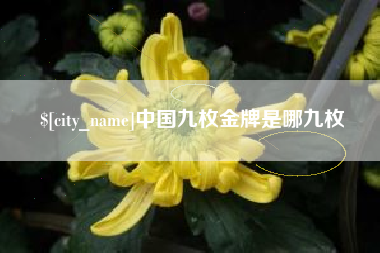 百色中国九枚金牌是哪九枚