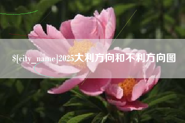 百色2025大利方向和不利方向图