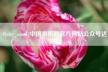 百色中国消防网官方网站公众号达伦特