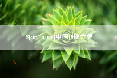 百色中国19块金牌