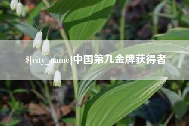 百色中国第九金牌获得者