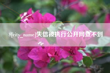 百色失信被执行公开网查不到