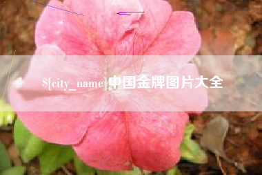 百色中国金牌图片大全