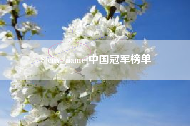 百色中国冠军榜单