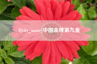 百色中国金牌第九金