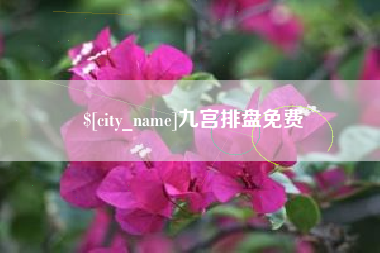 百色九宫排盘免费