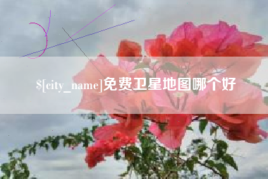 百色免费卫星地图哪个好