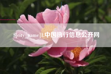 百色1.中国执行信息公开网