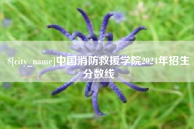 百色中国消防救援学院2024年招生分数线