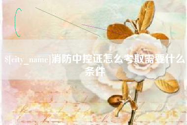 百色消防中控证怎么考取需要什么条件