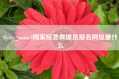 百色国家应急救援员报名网址是什么