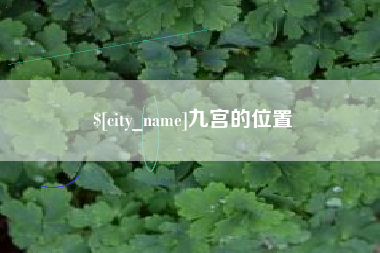 百色九宫的位置