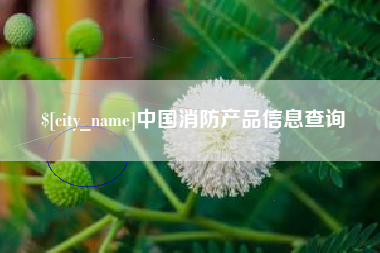 百色中国消防产品信息查询