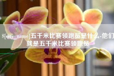 百色五千米比赛领跑员是什么-他们就是五千米比赛领跑员