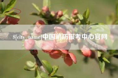 百色中国消防报考中心官网