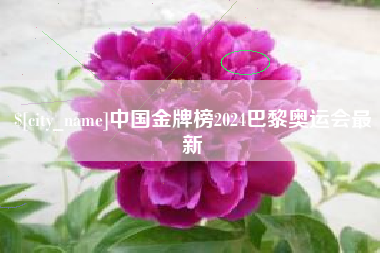百色中国金牌榜2024巴黎奥运会最新