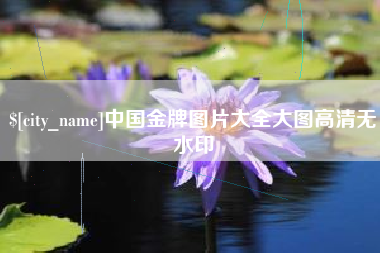 百色中国金牌图片大全大图高清无水印