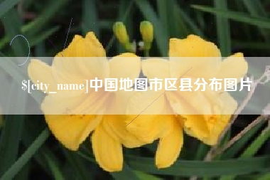 百色中国地图市区县分布图片