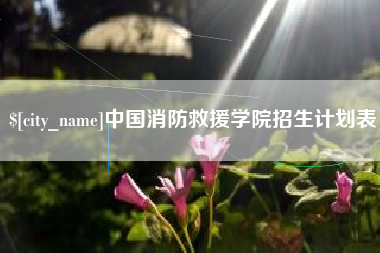百色中国消防救援学院招生计划表