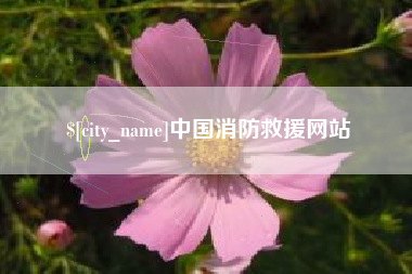 百色中国消防救援网站