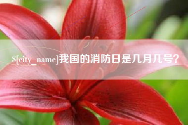 百色我国的消防日是几月几号？
