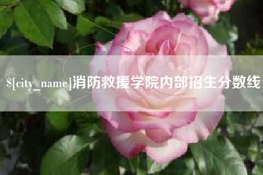 百色消防救援学院内部招生分数线