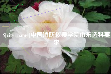 百色中国消防救援学院山东选科要求