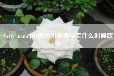 百色中国消防救援学院什么时候政审