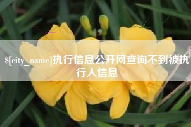 百色执行信息公开网查询不到被执行人信息