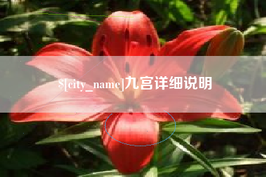 百色九宫详细说明