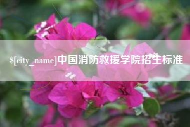 百色中国消防救援学院招生标准